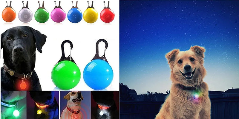 USB Rechargeable Luminous Collar Adjustable Led Glowing Dog Collar for Large Small Dogs Cat Night Light Collar Pet Safety Harnes