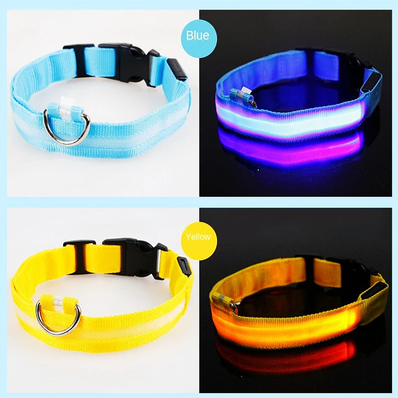 USB Rechargeable Luminous Collar Adjustable Led Glowing Dog Collar for Large Small Dogs Cat Night Light Collar Pet Safety Harnes